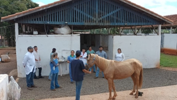 5° Edição do Curso de Atendimento Emergencial em Equinos – Santo Antônio da Platina- Jacarezinho-PR | Cursos
